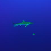 /observatoire/images/14652_416a035146c0bc0704e565e05054b3a0.jpg