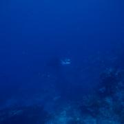 /observatoire/images/630_fa0f90fdb4fdc2b4c40c5650b4b98cf6.jpg